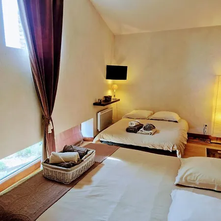 La Tournerie, 10 Pers Piscine Près Puy Du Fou Affittacamere Saint-Fulgent